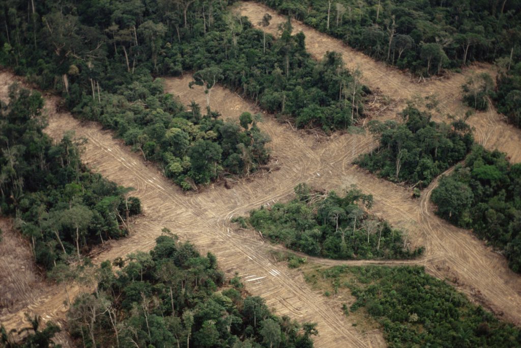 Még mindig óriási területek nincsenek felderítve! Rejtélyes erődítményeket találtak az Amazonas esőerdőiben!
